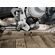 BMW F850GS лапка тормоза